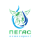 Пегас